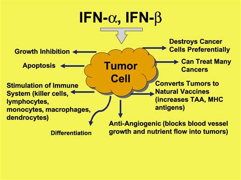 interferon treatment for cancer